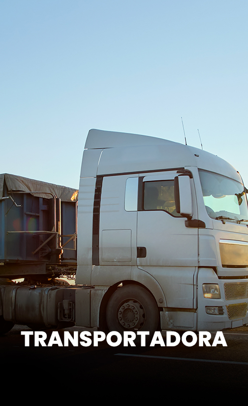 Prancheta-1-copiar-2